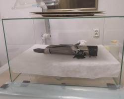 Obiekt z cyklu "Przemiany" Zofii Rydet. Odkażanie w komorze w parach etanolu, Pracownia Konserwacji i Restauracji Malowideł na Podłożu Papierowym, rok akademicki 2020/2021, fot. dr Regina Kozik Obiekt z cyklu "Przemiany" Zofii Rydet. Odkażanie w komorze w parach etanolu, Pracownia Konserwacji i Restauracji Malowideł na Podłożu Papierowym, rok akademicki 2020/2021, fot. dr Regina Kozik