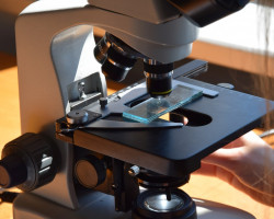 Obserwacja preparatów drewna pod mikroskopem, Zakład Materiałoznawstwa oraz Historii Technik Dzieł Sztuki, rok akademicki 2020/2021, fot. mgr Tanita Ciesielska Obserwacja preparatów drewna pod mikroskopem, Zakład Materiałoznawstwa oraz Historii Technik Dzieł Sztuki, rok akademicki 2020/2021, fot. mgr Tanita Ciesielska